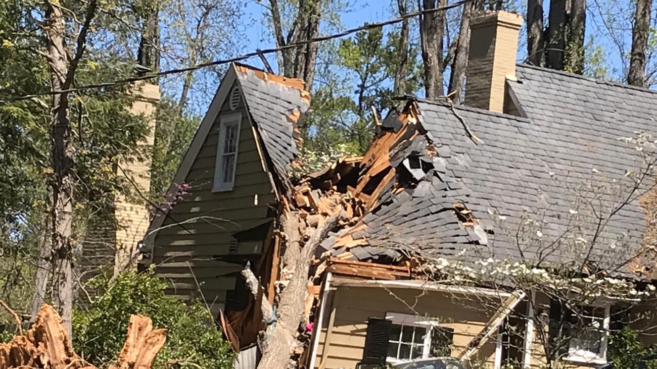 Tree on a house