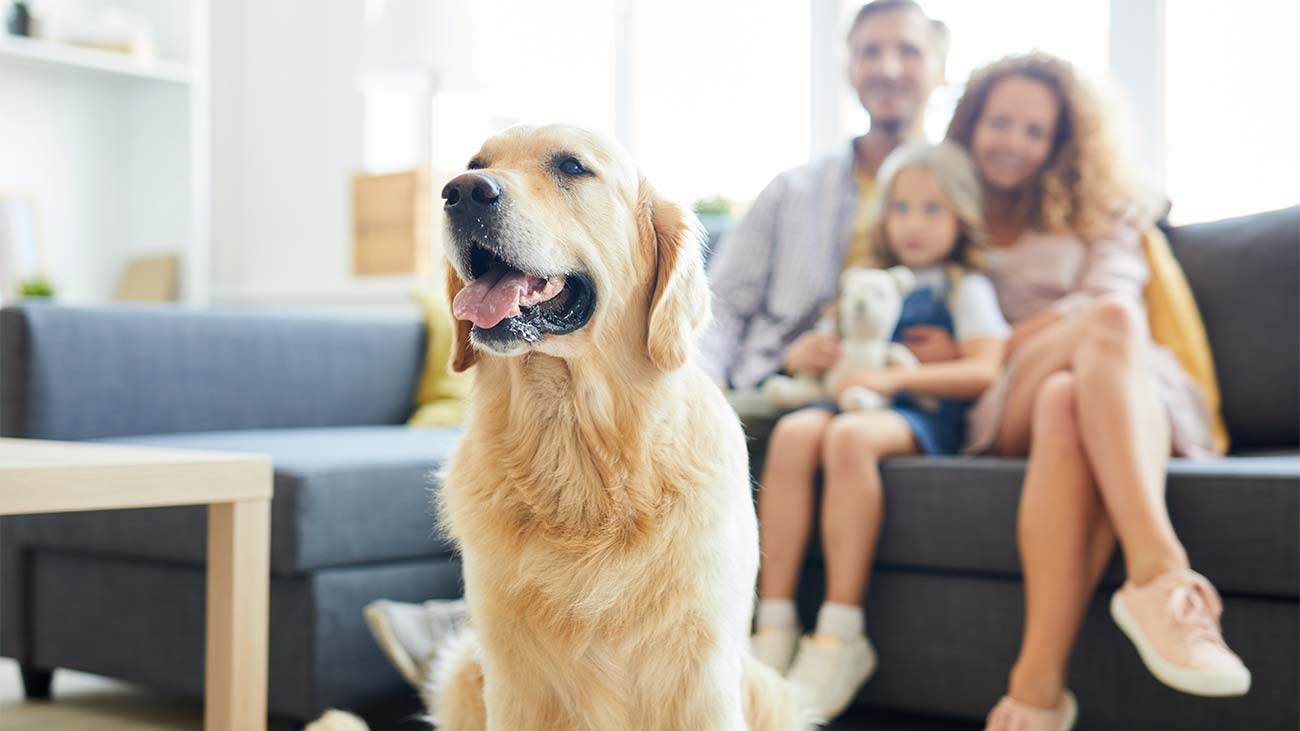 Concept are of a young family sitting in the living room with their dog, illustrating pet coverage in homeowners insurance.