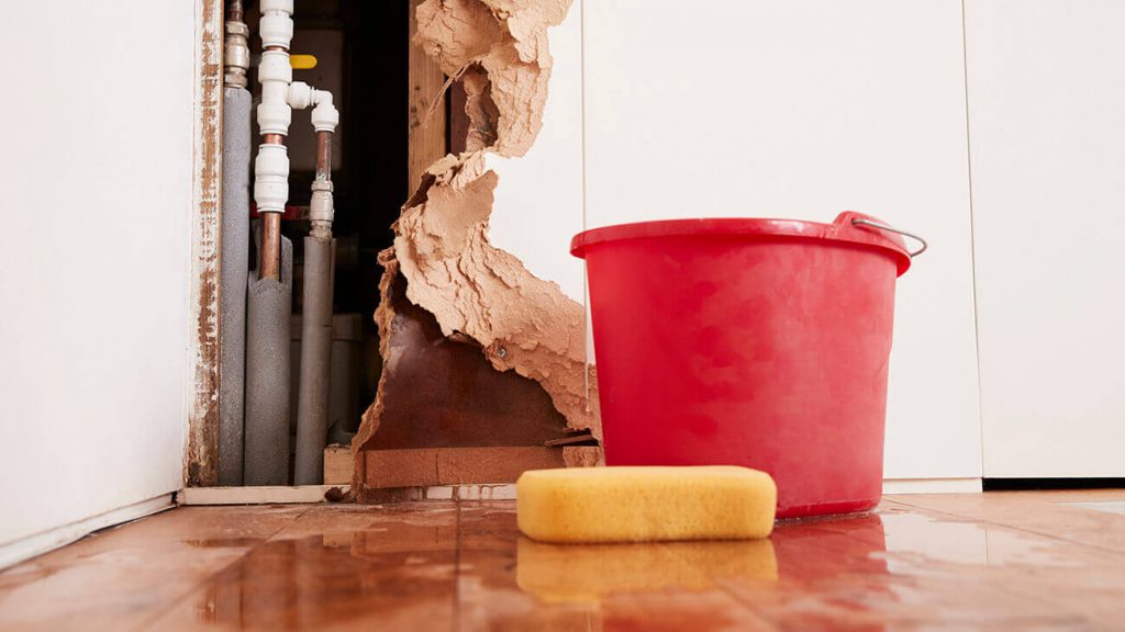 5 Things You Should Do Immediately When Faced with Water Damage