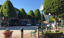 Glendora Public Adjuster