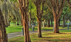 Public adjuster in Canoga Park