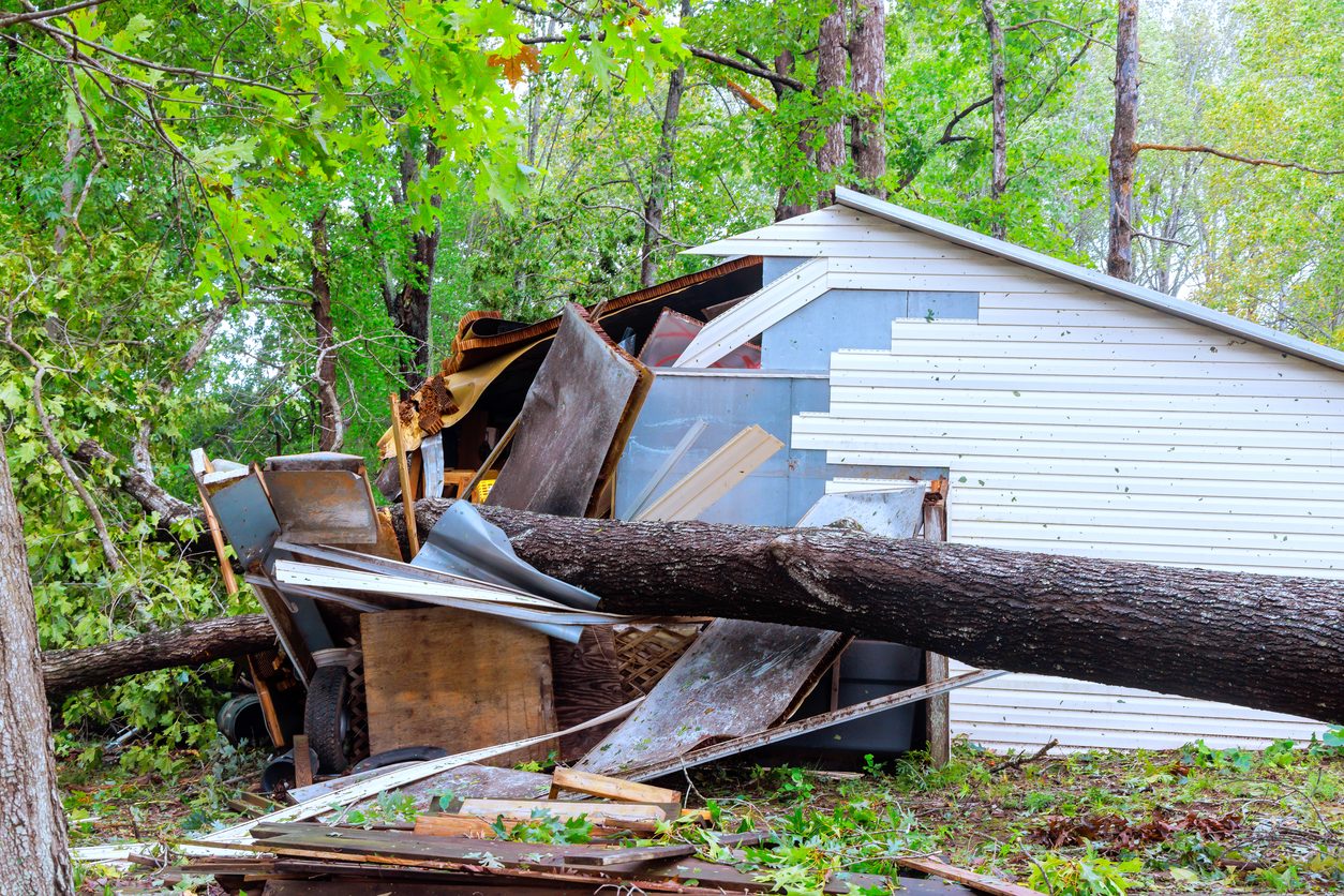 tree falls ripping into the side of a house destroying it
