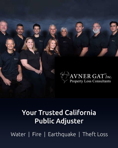 Avner Gat team members