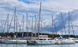 Yachts in marina - Wilmington, CA