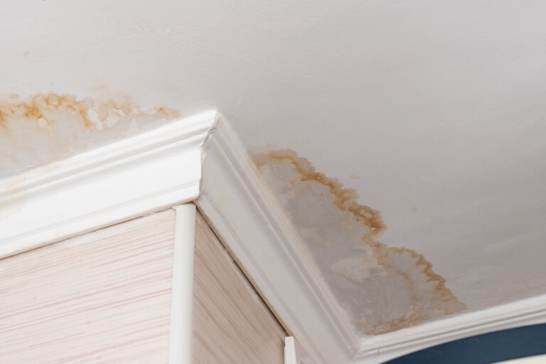 Close-up of a stain on a water-damaged ceiling