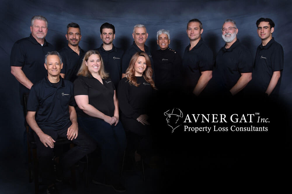 Avner Gat team members