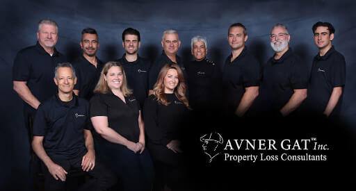 The Avner Gat team.