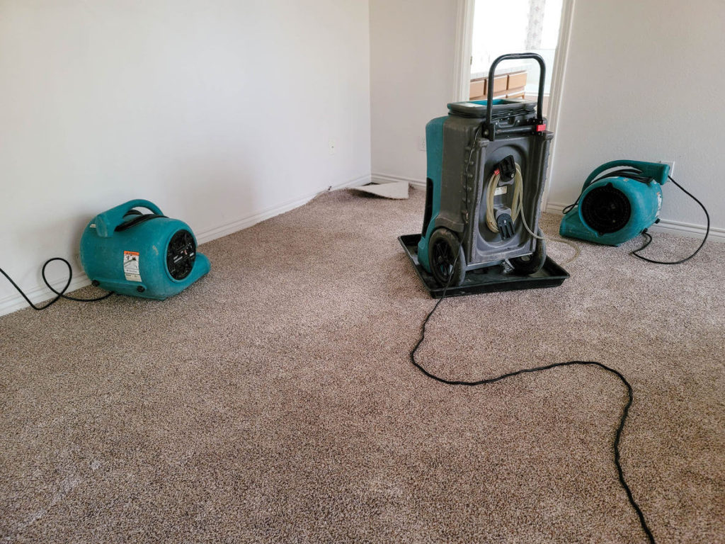 Water damage remediation company removing mold from a wall using a spray bottle with mold remediation chemicals.