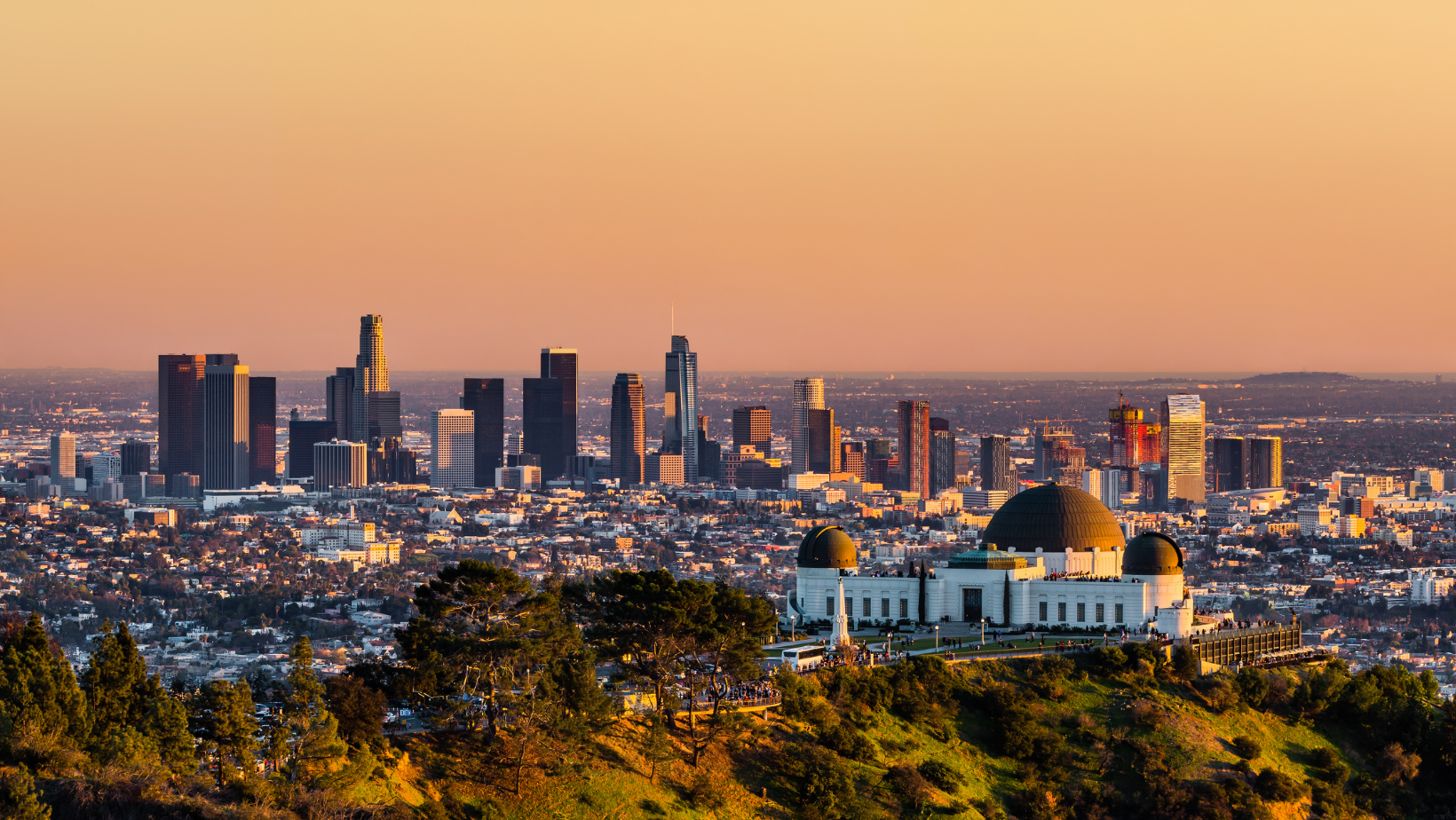 Aerial view of los angeles skyline