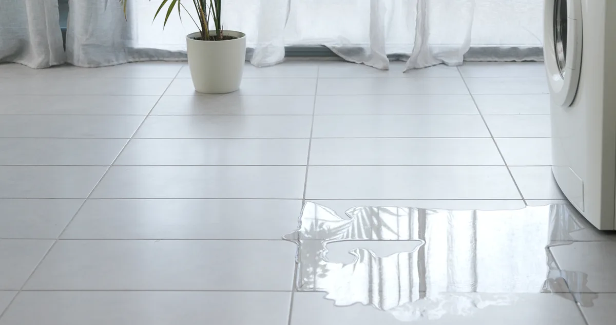 appliance leak homeowners insurance coverage