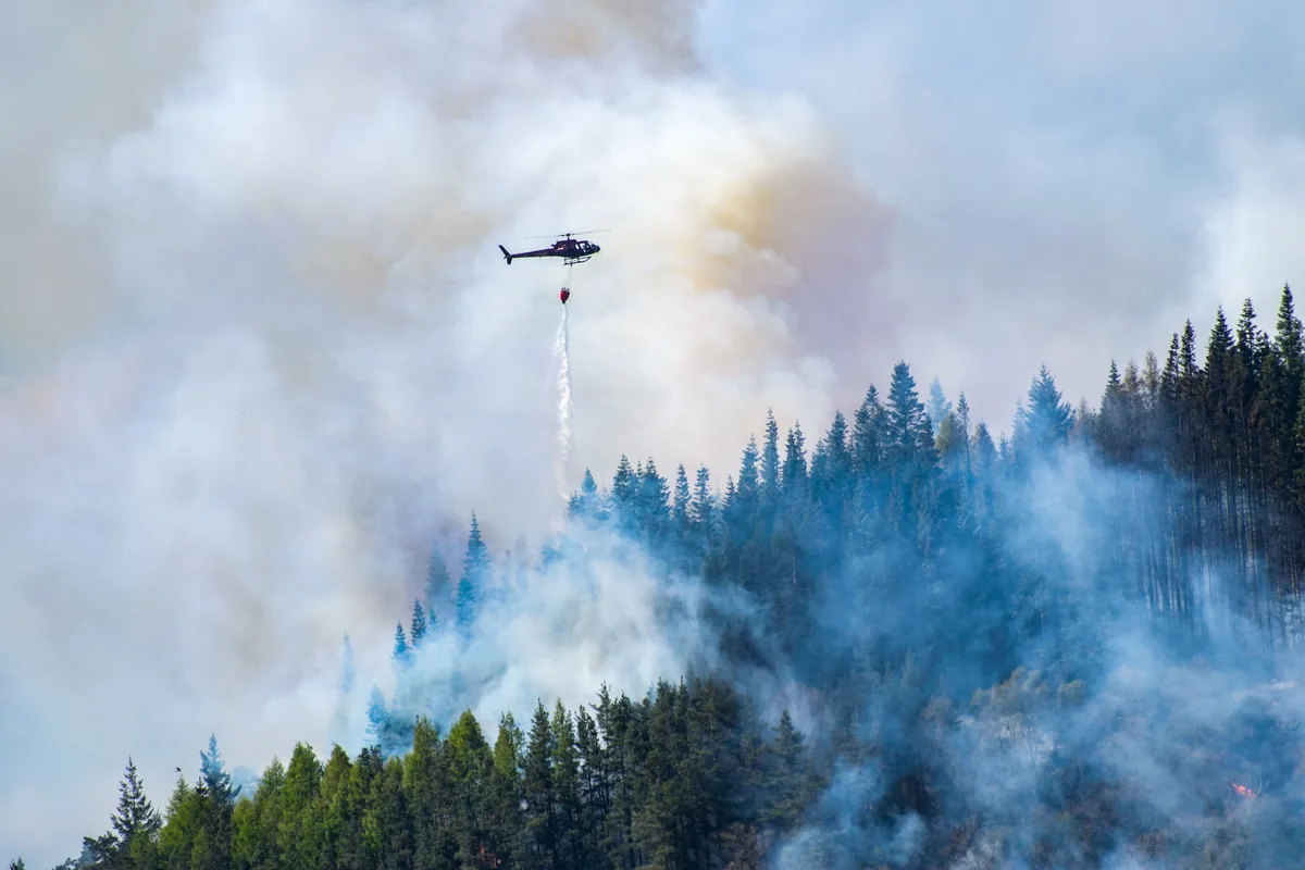 wildfire insurance claim in california