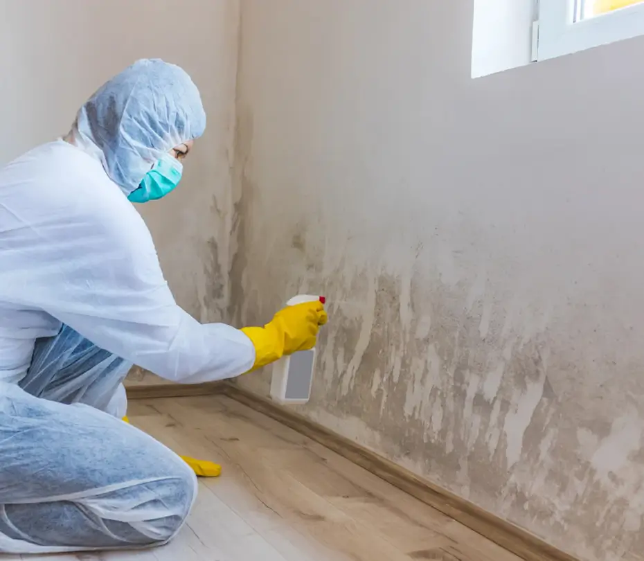 professional assessing water damage