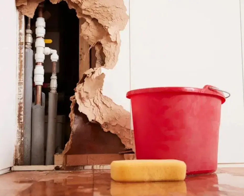 water damage on the wall and bucket next to it